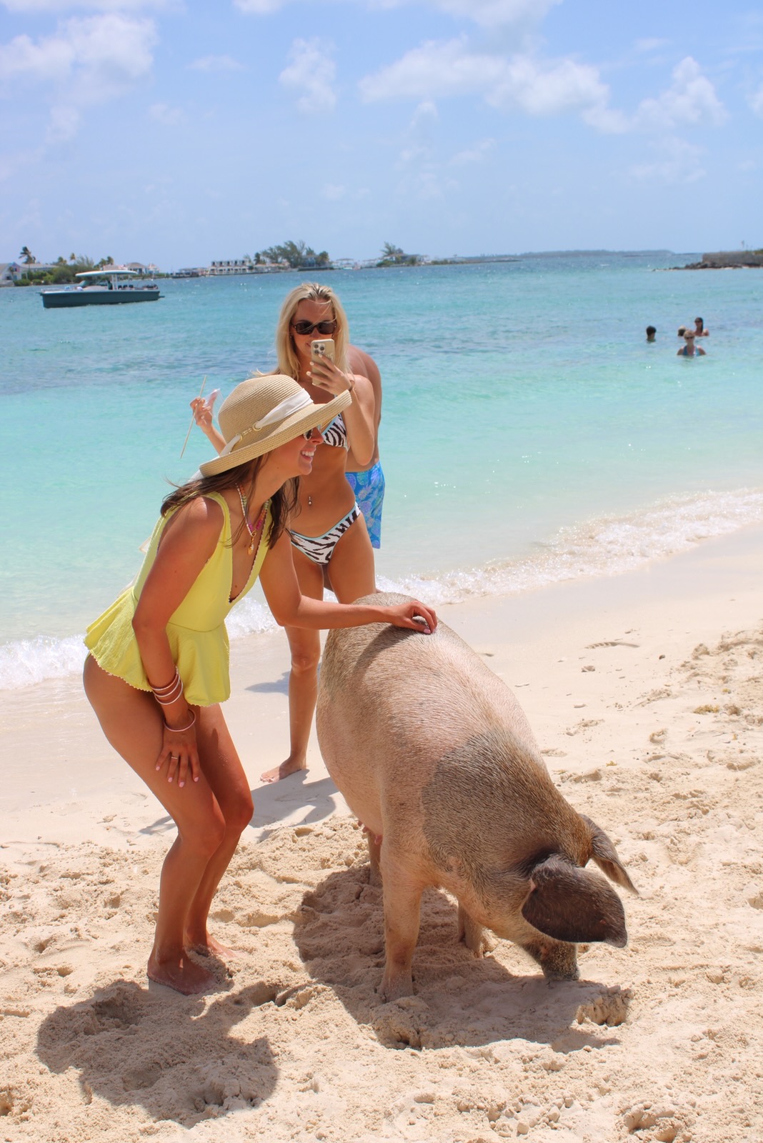 Retreat guests meeting the swimming pigs on the beach